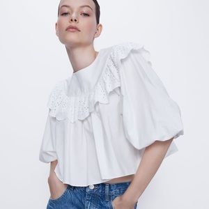 Zara beautiful top puff sleeve Aline embroidery S